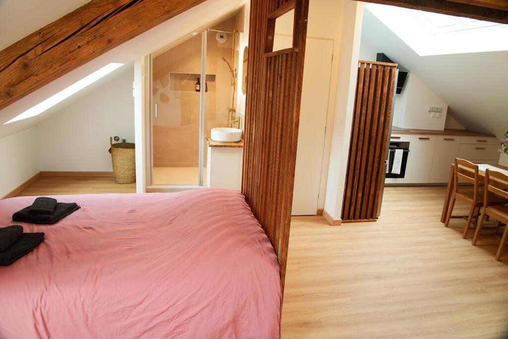 Appartement De Charme A Nancy Exterior photo